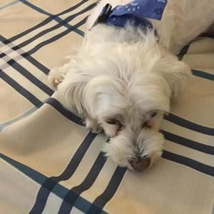 Meet your Posher, Cynthia